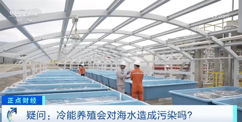 從陸地到海洋的藍色跨越 化工新材料驅動綠色海洋牧場建設